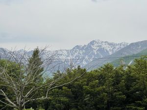   at Hakuba Taproom in Hakuba