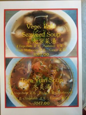 Vegetable balls with seaweed soup, and Tom yum soup at Zhen Xiang Zhai in Kuching