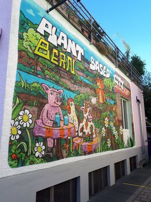 Outside at lil Radish in Bern