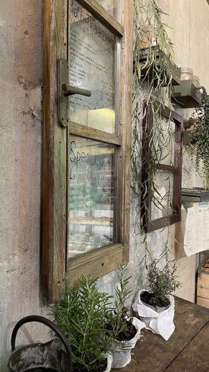 Locale at Santo Falafel in Florence