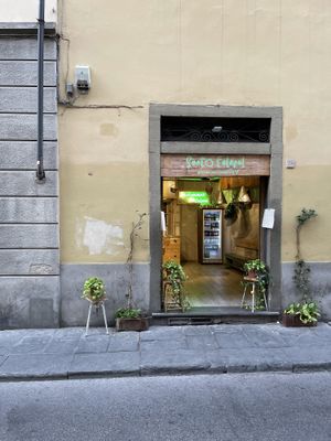 Locale at Santo Falafel in Florence