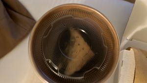   at Santo Falafel in Florence