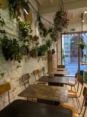  at Santo Falafel in Florence