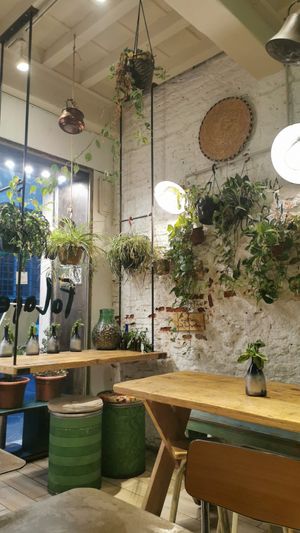 Great ambiance at Santo Falafel in Florence