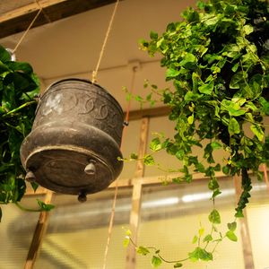 Interior at Santo Falafel in Florence