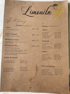 english menu  at Limonita Cafe in Istanbul