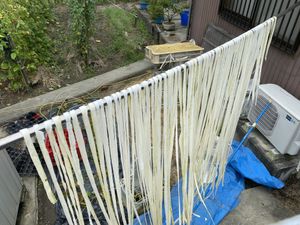 Strips of Kanpyo (melon) drying outside  at Genmai-an in Nara