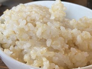 Brown rice at Genmai-an in Nara