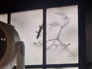 Gecko (Yamori) at Veganic Monkey Magic 浅草 in Tokyo