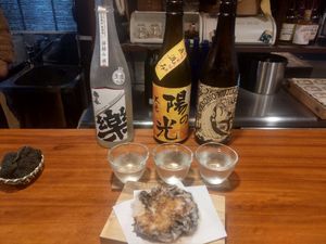 More sake! at Veganic Monkey Magic 浅草 in Tokyo