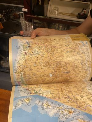 Each guest marks where they’re from on the map  at Veganic Monkey Magic 浅草 in Tokyo