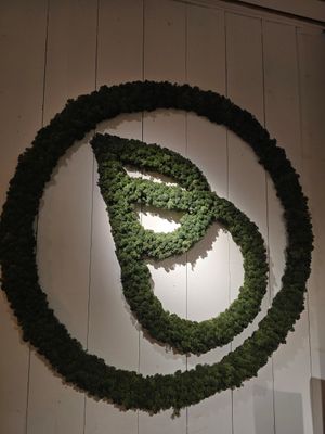 Boddi at Boddi in Bruges