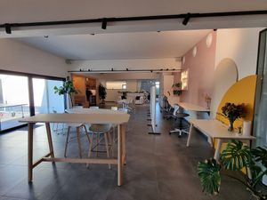 Interior at Plant Tribe in Zuienkerke