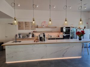 Counter at Plant Tribe in Zuienkerke