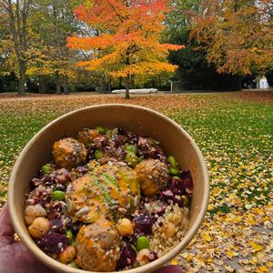Bowl with falafel at Wild Foodz by Hotel Entree in Bruges