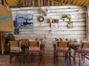  at Galapagos in Koh Lanta