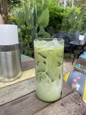 Iced oat milk Matcha  at Galapagos in Koh Lanta