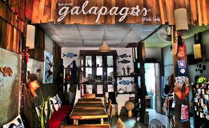 Galapagos from inside.  at Galapagos in Koh Lanta