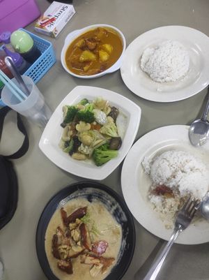Mixed vege, vege duck with mushroom sauce and vege duck with curry sauce at Yuan Wei 缘味 in Sandakan
