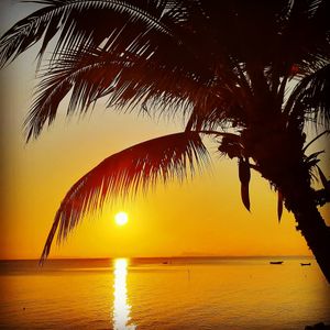 Sunset view at La Casa Tropicana by Cospace in Koh Phangan