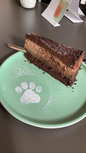 4.50€ three layer chocolate cake at Katzentempel in Regensburg