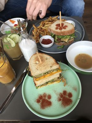   at Katzentempel in Regensburg