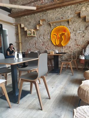 Location at Katzentempel in Regensburg