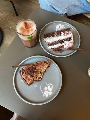 Kakao, Schoko-Mousse und Schwarzwälder Kirsch Torte    at Katzentempel in Regensburg