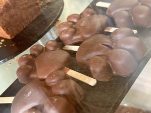 paws  at Katzentempel in Regensburg