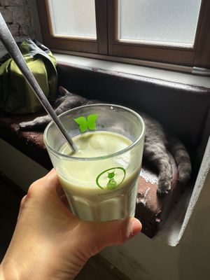 Matcha latte and 🐈‍⬛  at Katzentempel in Regensburg