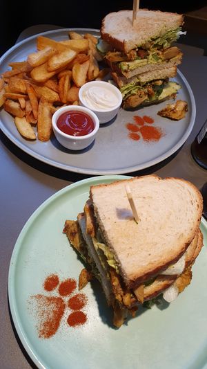  at Katzentempel in Regensburg