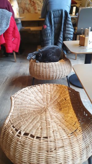  at Katzentempel in Regensburg