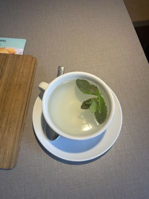 Heiße Zitrone  at Katzentempel in Regensburg