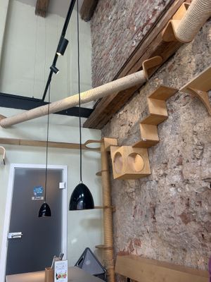 Einrichtung   at Katzentempel in Regensburg