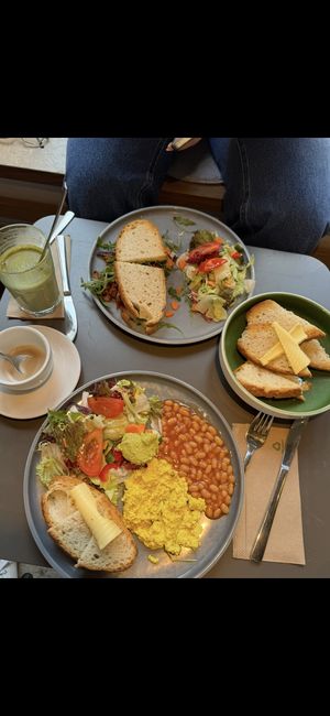 Really cute and peaceful spot with great food! Especially good breakfast, cake and desserts… with cats running around and very friendly staff. 10/10 would recommend!   at Katzentempel in Regensburg