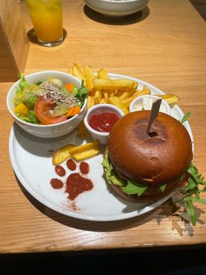  at Katzentempel in Regensburg