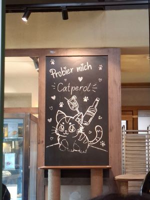  at Katzentempel in Regensburg