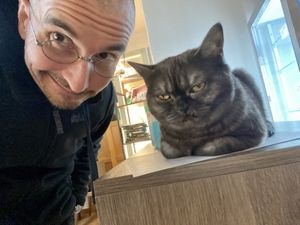 very grumpy cat at Katzentempel in Regensburg