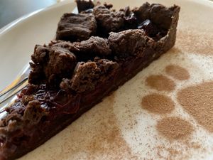 chocolate cherry cake at Katzentempel in Regensburg