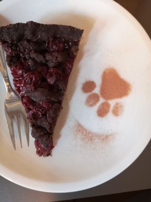 Schoko-Kirsch at Katzentempel in Regensburg