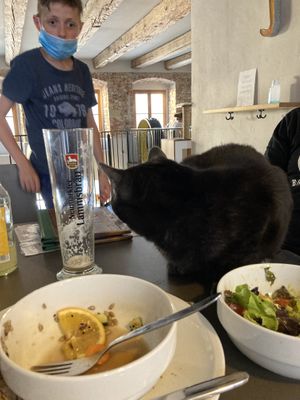 “Phantom” at our table. at Katzentempel in Regensburg