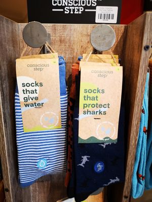  at Bodhi Books and Gifts in Newtown