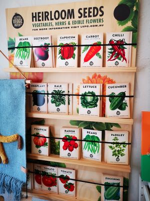  at Bodhi Books and Gifts in Newtown