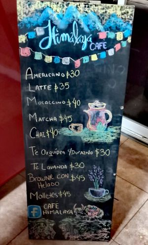 Carta at Himalaya Café in Mexico City