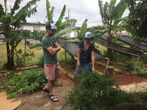 Gudhuerto in collaboration with Kale Máma, schedule a tour  at Gudvibes in Aguadilla