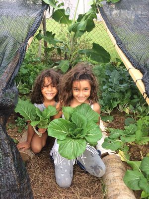 Garden Club & community Garden at Gudvibes in Aguadilla