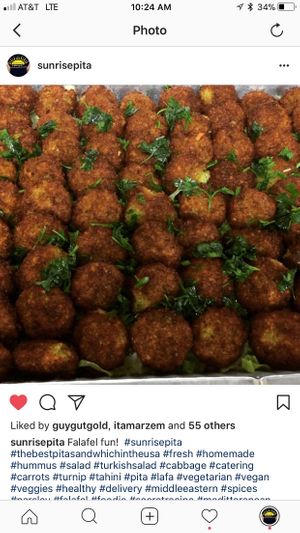 Falafel at Sunrise Pita and Grill in Davie