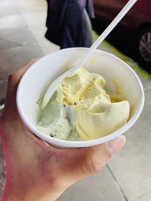 Juniper mint and golden macadamia   at Nicoco Hawaiian Gelato in Hilo