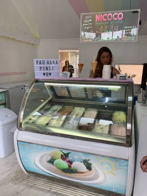 Unique and delicious flavors! at Nicoco Hawaiian Gelato in Hilo