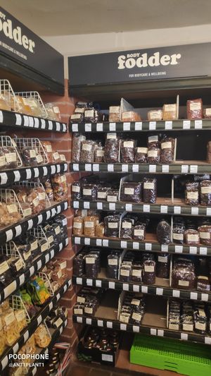 Pulses at Fodder in Hereford